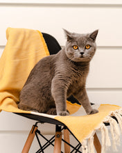 Φόρτωση εικόνας στο εργαλείο προβολής Συλλογής, yellow fishbone hammam towel made of recycled cotton